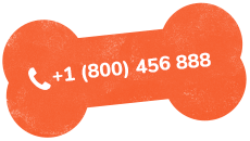 https://petdesign.com.au/wp-content/uploads/2019/07/text_02.png