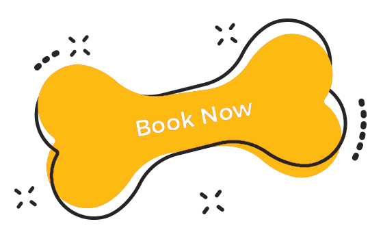 https://petdesign.com.au/wp-content/uploads/2020/02/BONE-booknowjpg.png